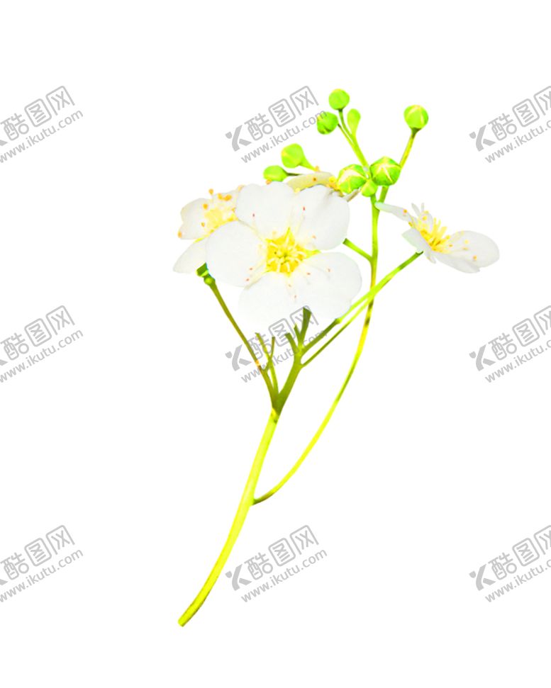 编号：94235909212025239645【酷图网】源文件下载-浪漫素材