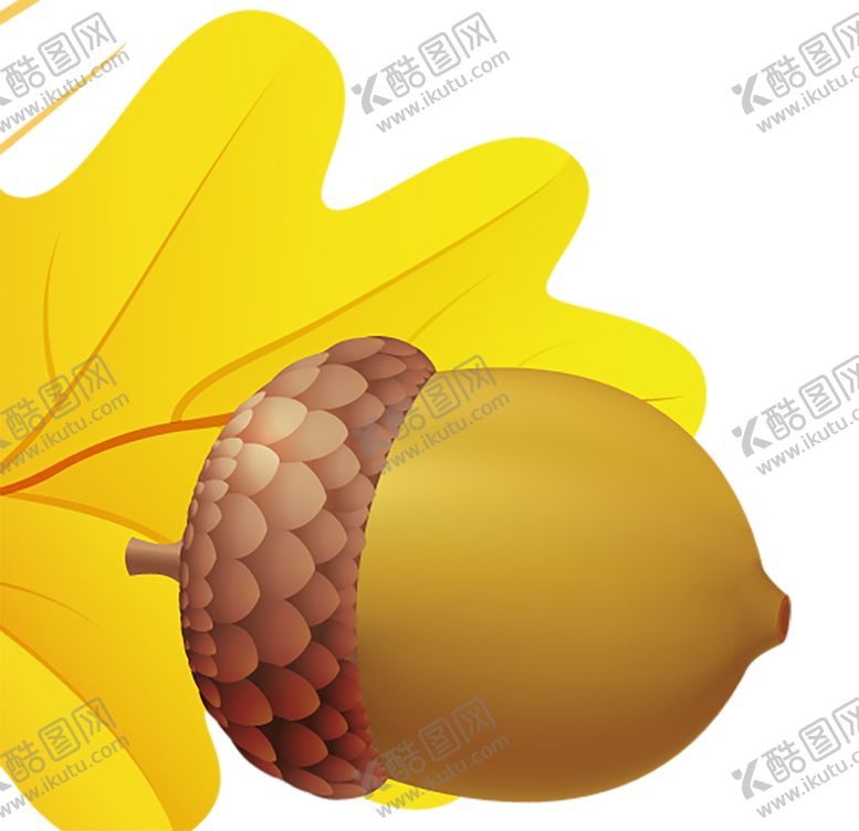 编号：27233210181513193371【酷图网】源文件下载-透明免扣橡果图片