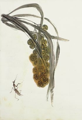 齐白石国画封面山水水墨山脉