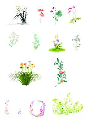 花草无底抠图