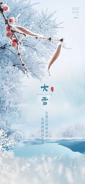 大寒小寒大雪冬至立冬