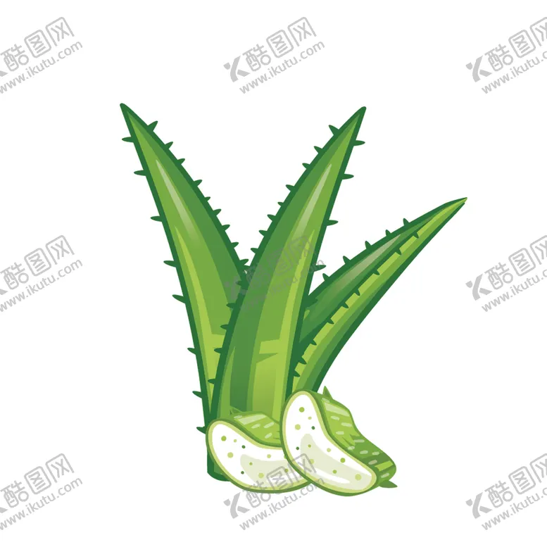 编号：74327110170547502490【酷图网】源文件下载-芦荟