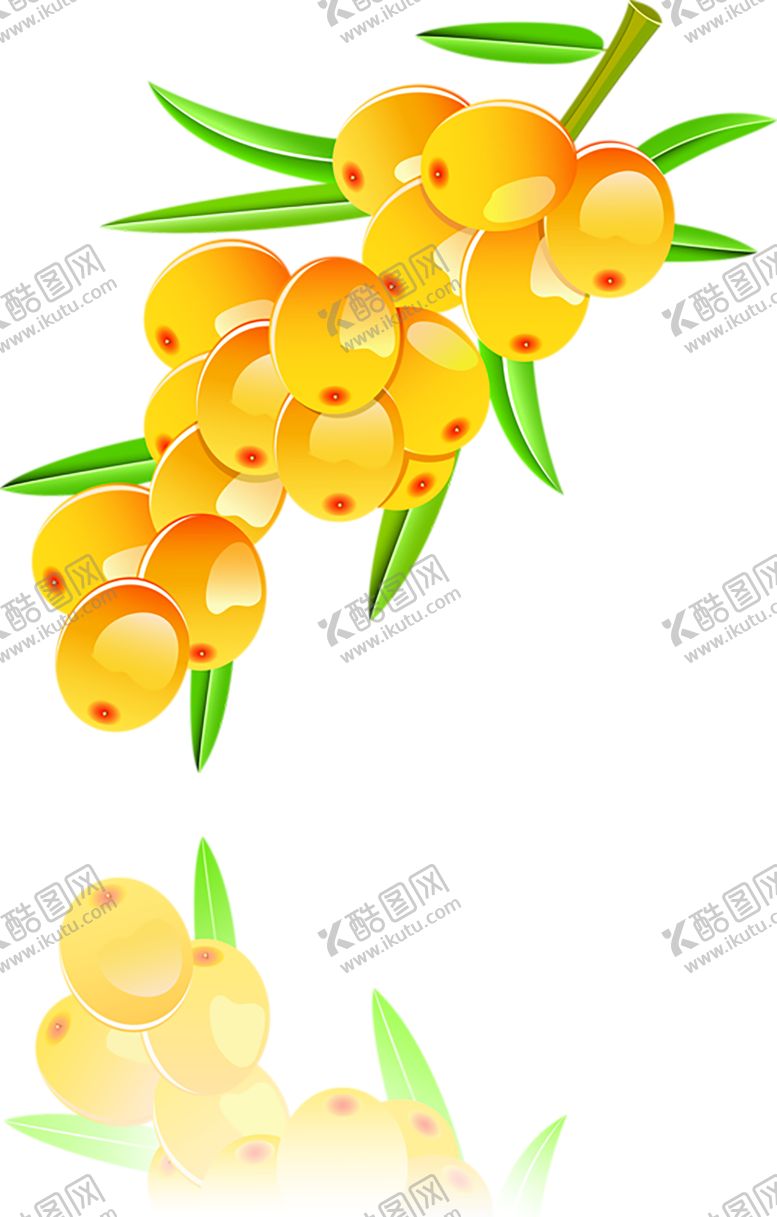 编号：82980207140931058607【酷图网】源文件下载-水果