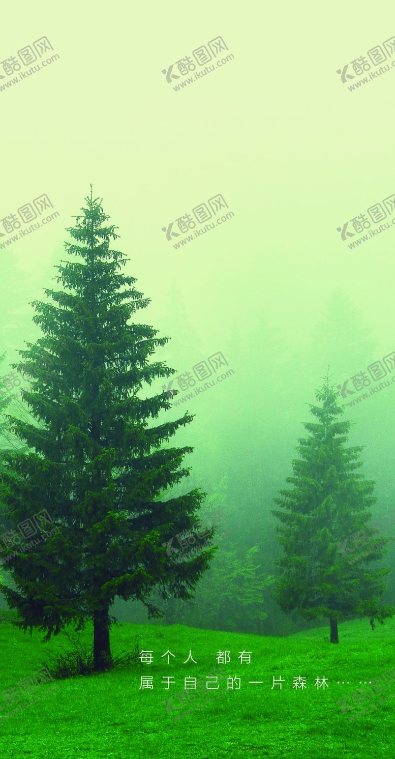 编号：88354210282003295891【酷图网】源文件下载-森林绿色