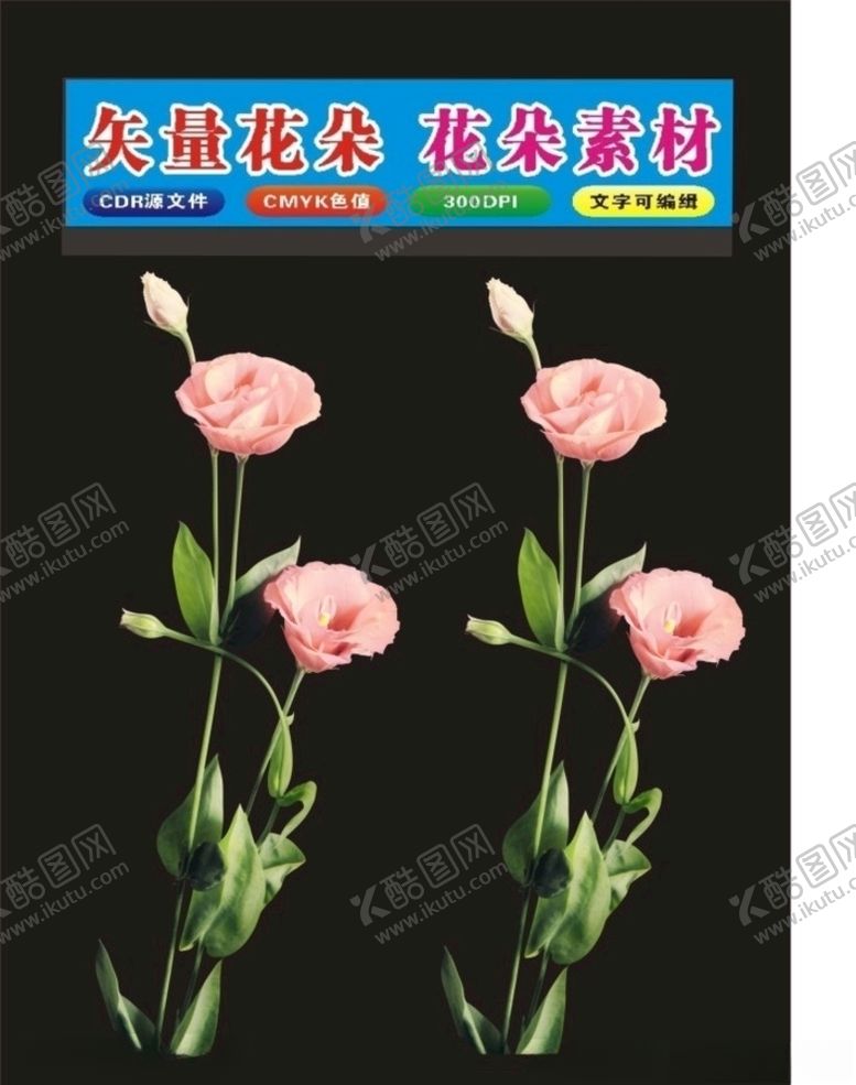 编号：79111610290815136291【酷图网】源文件下载-花朵多种花形