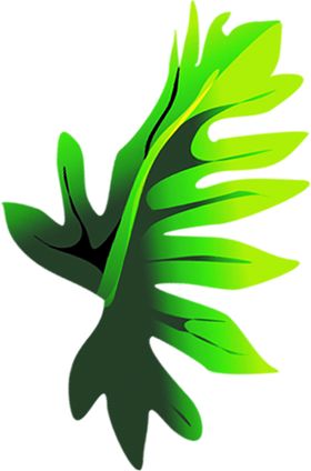 绿色装饰墙纸植物树叶