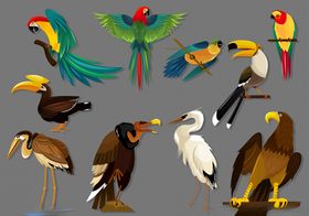 10款精美鸟类设计