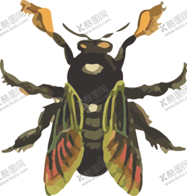 编号：52274206271841495686【酷图网】源文件下载-苍蝇昆虫插画