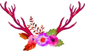 鲜花素材
