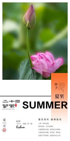 夏至二十四节气海报