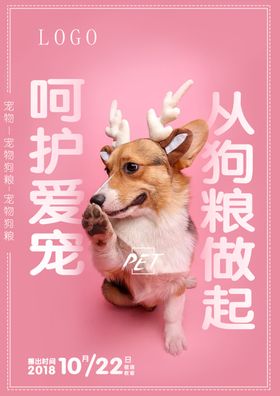 狗粮海报