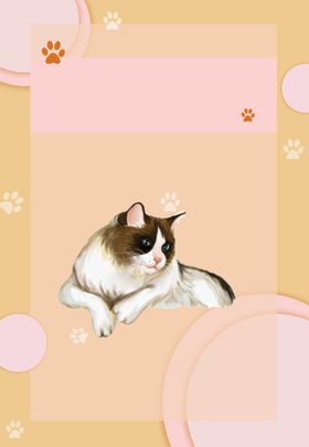 卡通猫