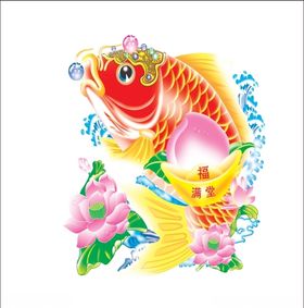 鲤鱼
