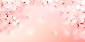 桃花节