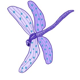 蜻蜓生物小工笔画插画