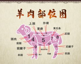 羊肉部位图