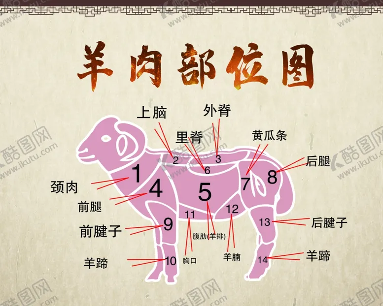 编号：93101506240830362613【酷图网】源文件下载-羊肉部位图