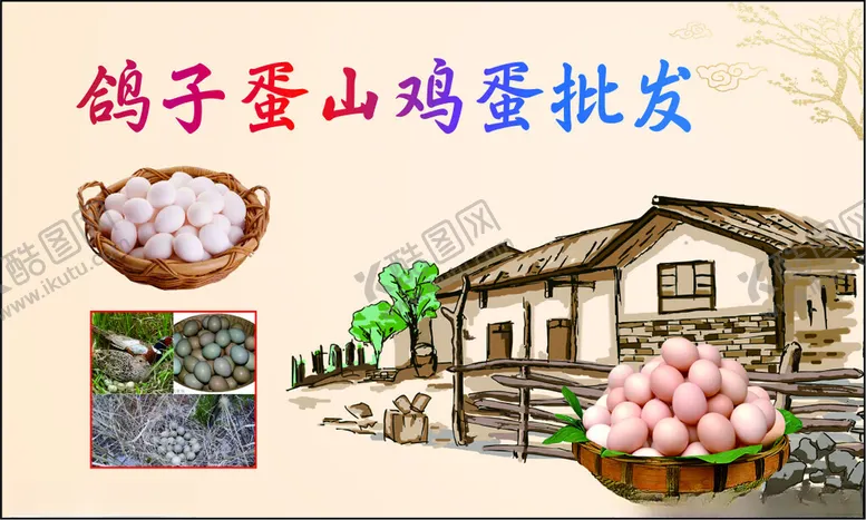 编号：51630101230638062781【酷图网】源文件下载-鸽子蛋名片
