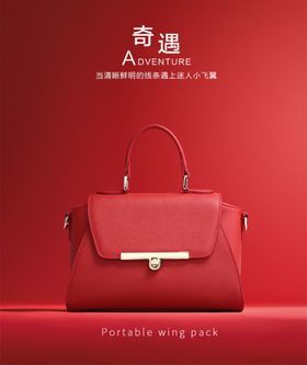 女士包包
