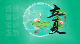 立夏荷花海报