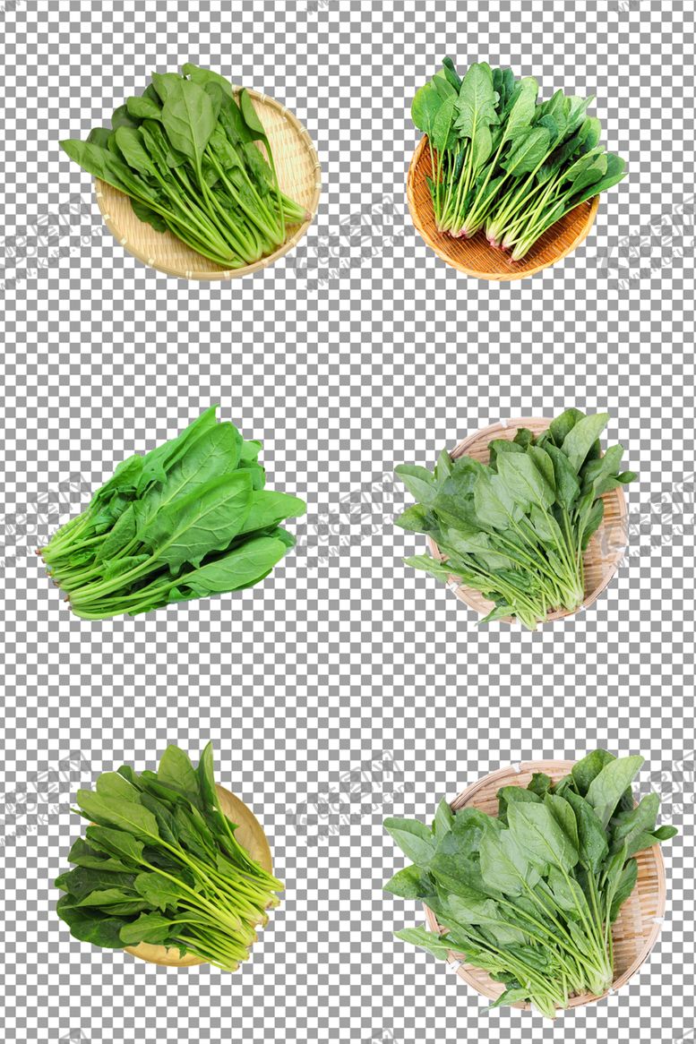 编号：20131306242134254042【酷图网】源文件下载-新鲜菠菜