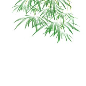 竹叶