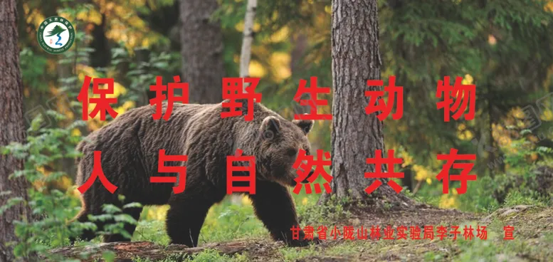 编号：57551206151705546703【酷图网】源文件下载-保护野生动物