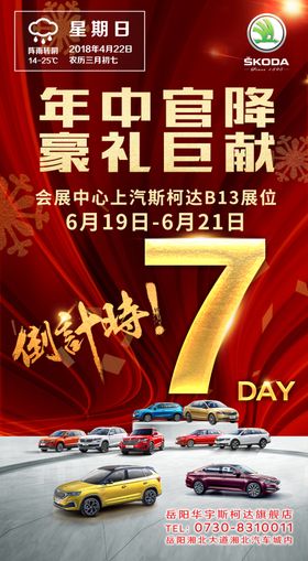 斯柯达年中海报
