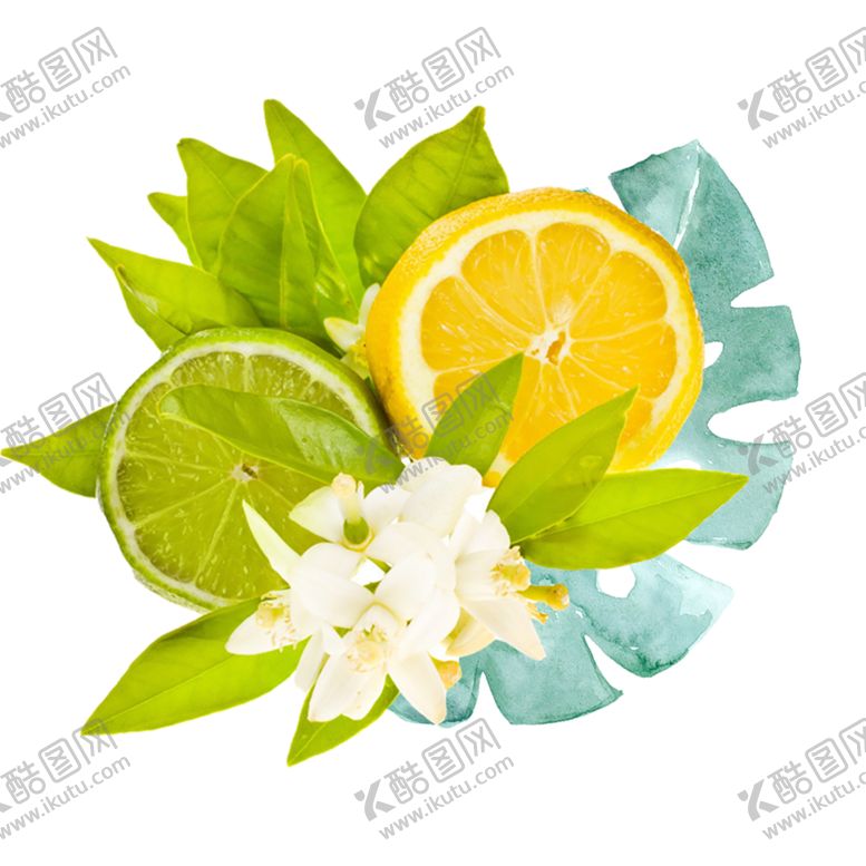 编号：89352909220611144447【酷图网】源文件下载-鲜花素材