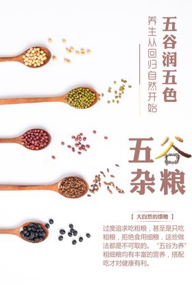 五谷杂粮店海报挂图饮食养生