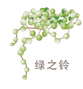 植物