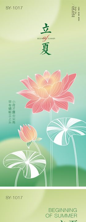 二十四节气立夏海报简约荷花质感