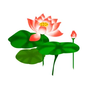 荷花元素鲜材叶材植物植物材