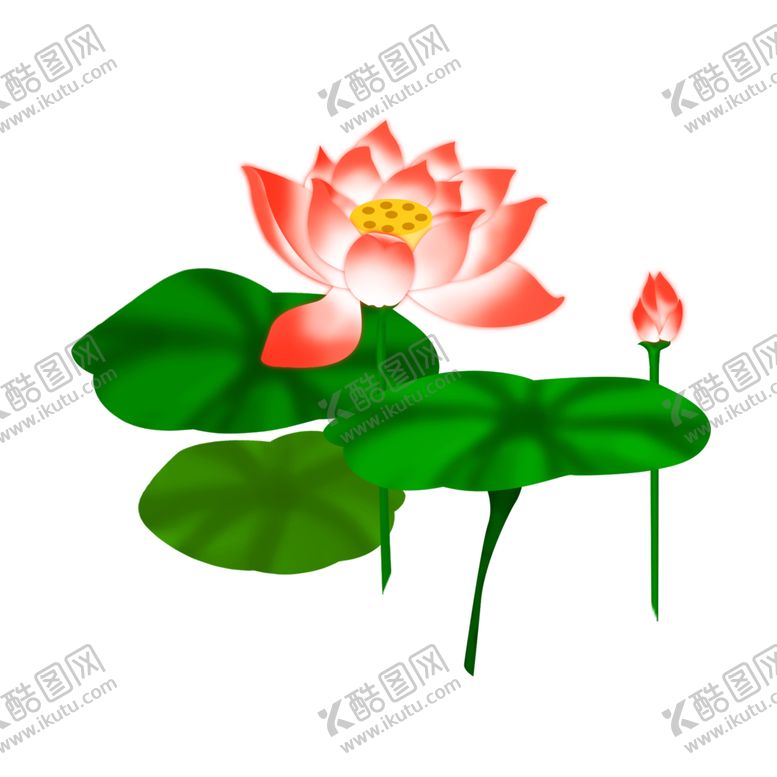 编号：88918703312148532231【酷图网】源文件下载-荷花元素