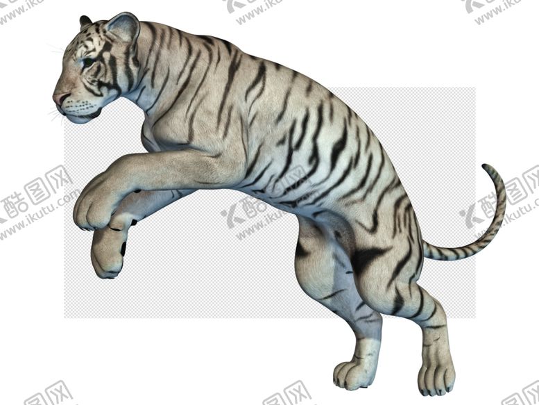 编号：22794509291018471467【酷图网】源文件下载-老虎