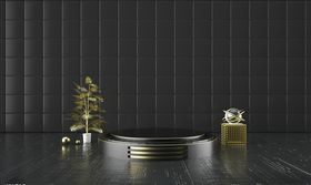 白板模型