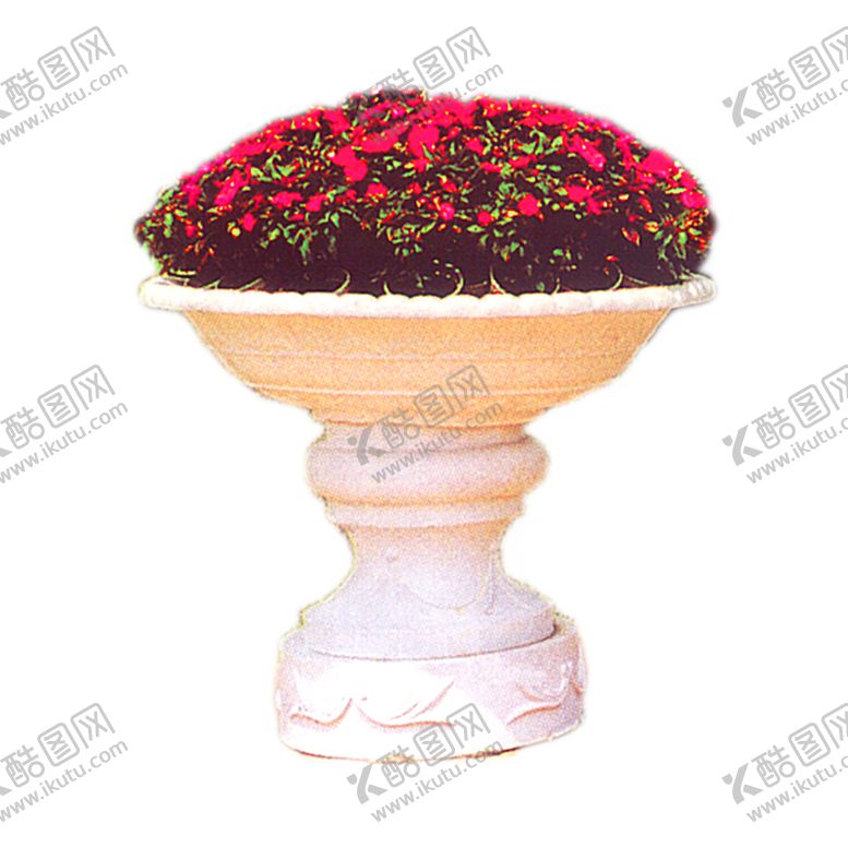 编号：50507210251607298801【酷图网】源文件下载-植物