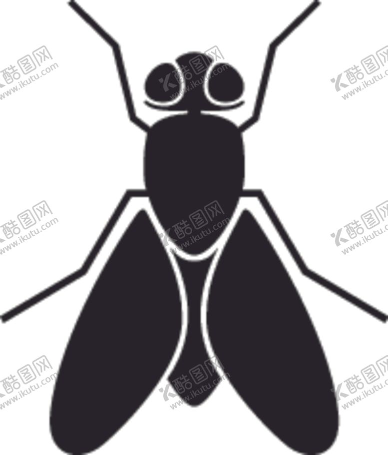 编号：40887207040508431554【酷图网】源文件下载-昆虫系列苍蝇