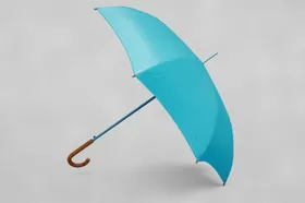 雨伞样机
