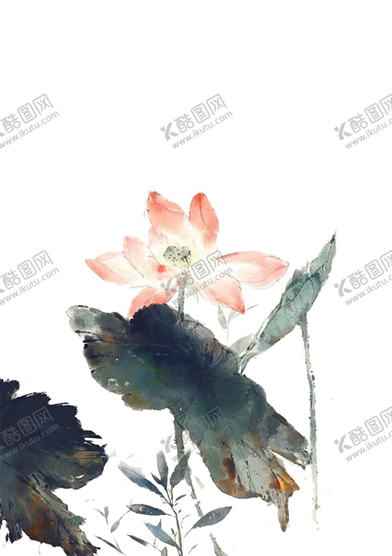 编号：67505104200422495652【酷图网】源文件下载-水墨荷花粉色荷花荷花意境