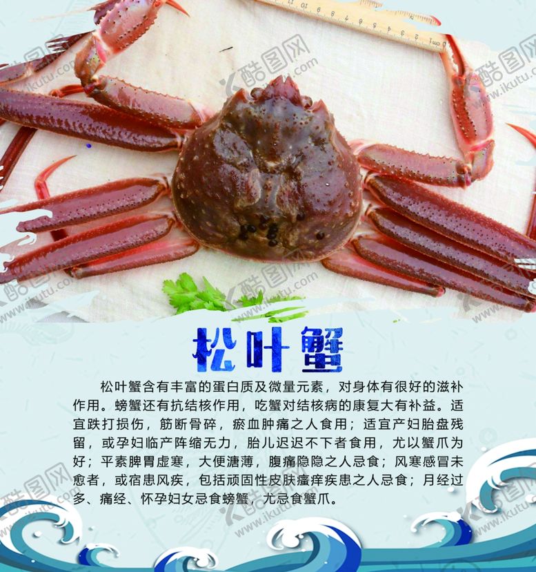 编号：50975609270840261602【酷图网】源文件下载-松叶蟹