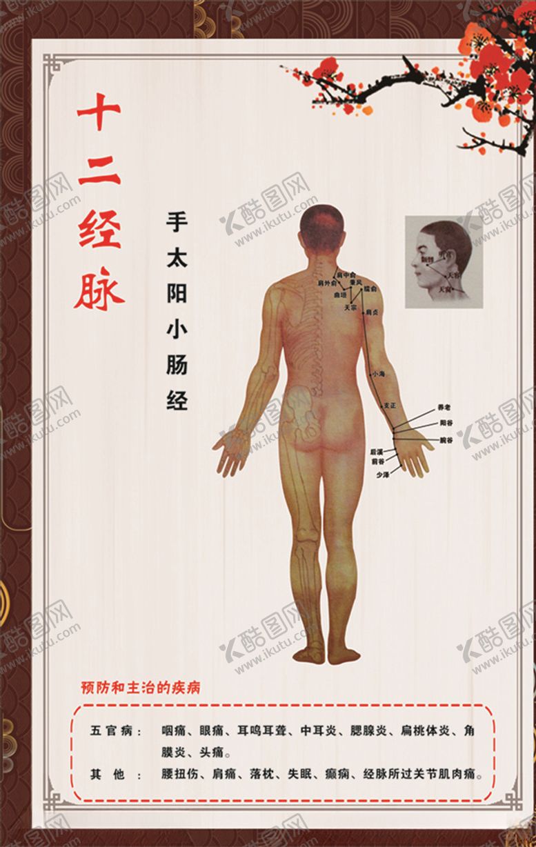 编号：17750310070225107954【酷图网】源文件下载-手太阳小肠经