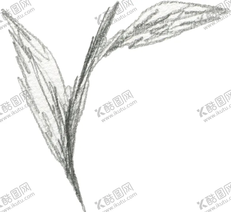 编号：47901806242052463371【酷图网】源文件下载-彩绘枝叶