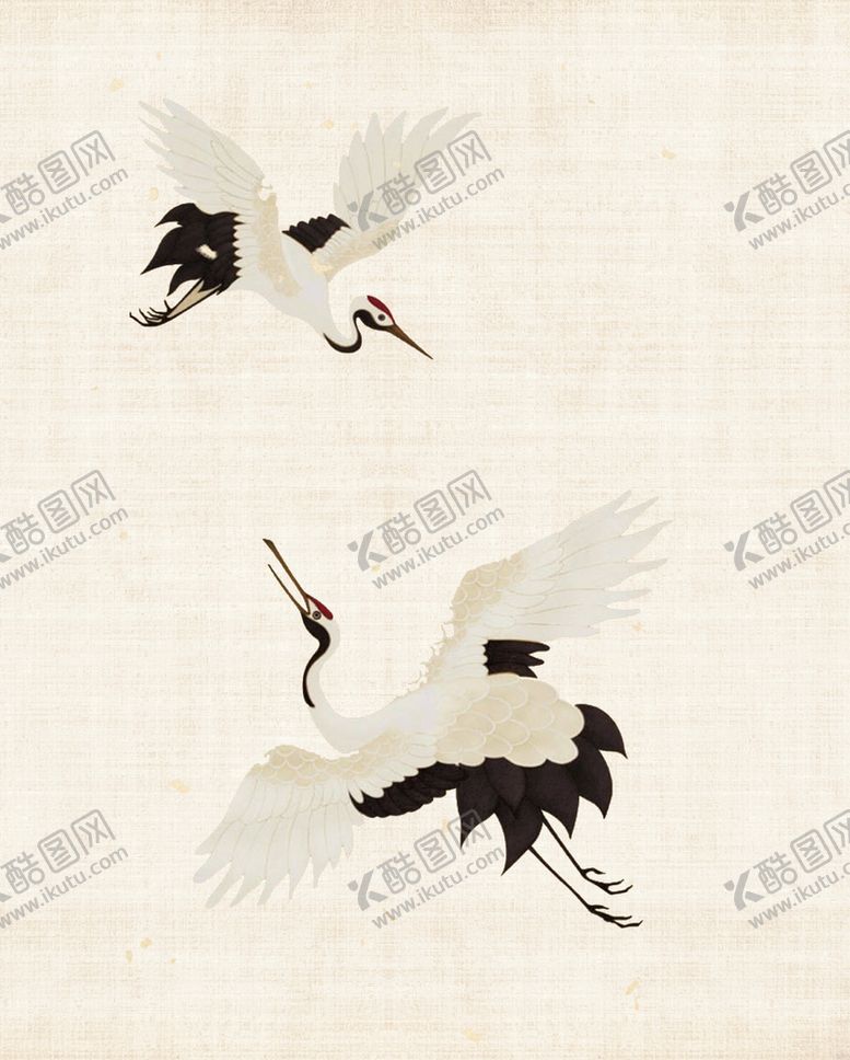 编号：73082909171607301743【酷图网】源文件下载-仙鹤      丹顶鹤    