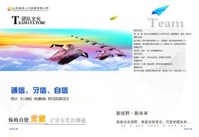 人力资源公司画册宣传册