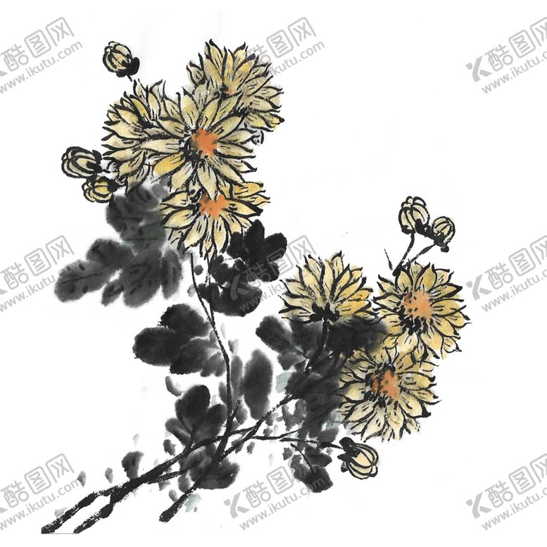 编号：36455710312129382212【酷图网】源文件下载-菊花