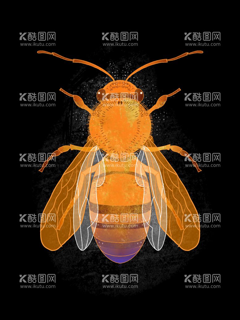 编号：58463311160023531567【酷图网】源文件下载-昆虫