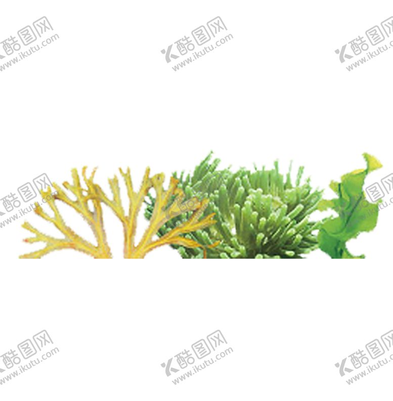 编号：48800710101643295299【酷图网】源文件下载-绿色相框