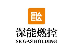 深能燃控LOGO标志