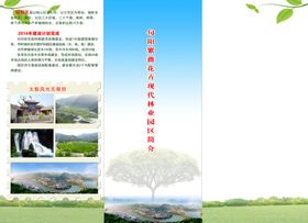 花卉园林公司宣传彩页
